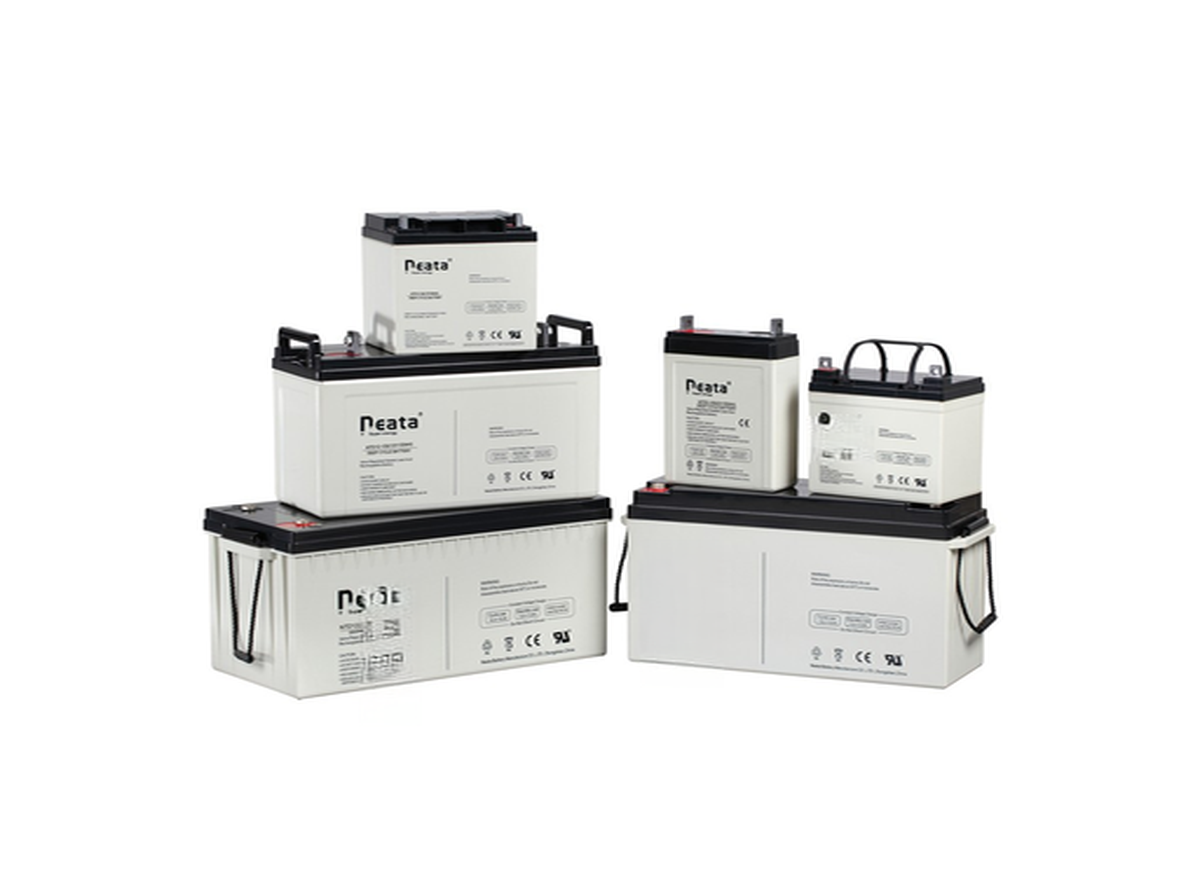 Deep Cycle Battery view 5