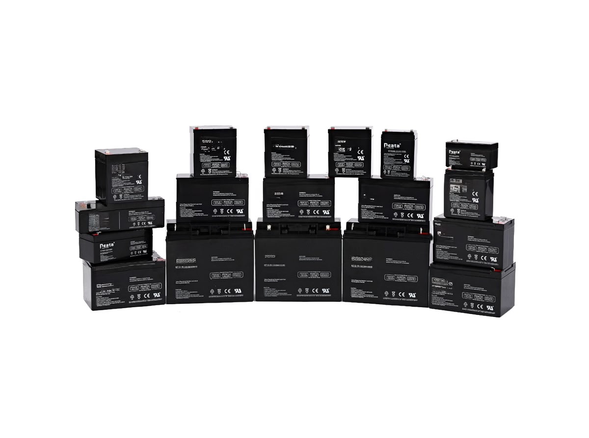 Standard AGM Battery